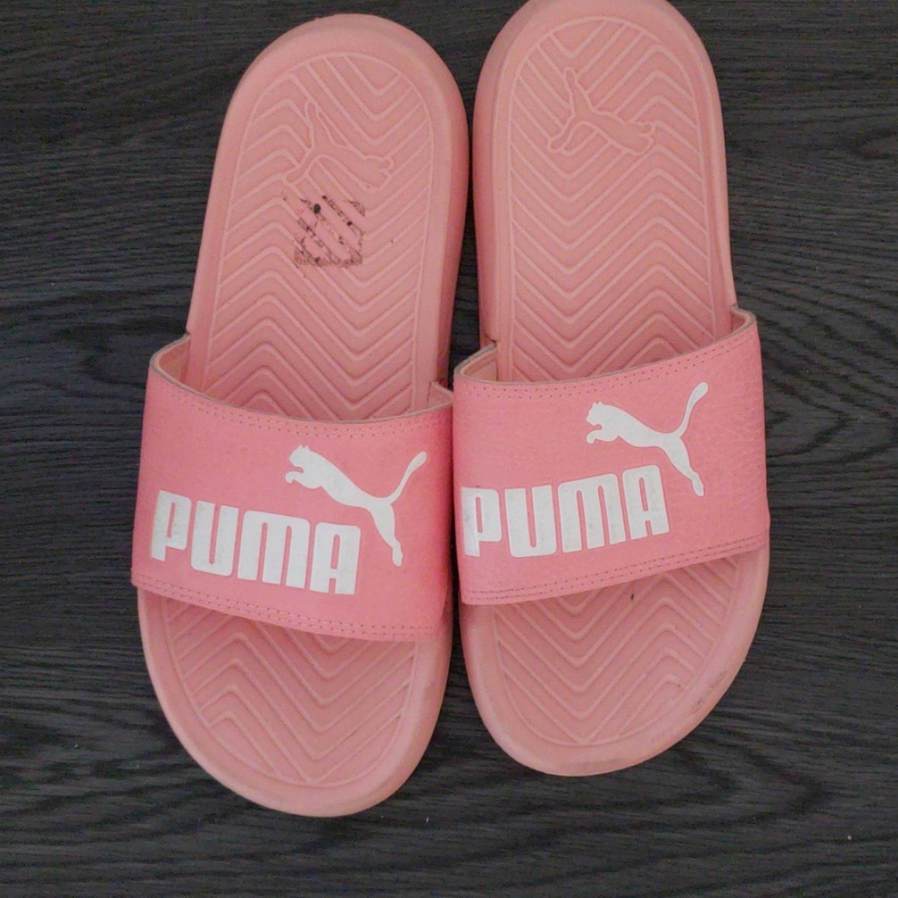 Puma slides